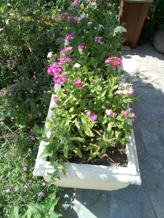 Ενοικιαζόμενα δωμάτια Μαγδαληνή Άναξος Εξωτερικό φωτογραφία