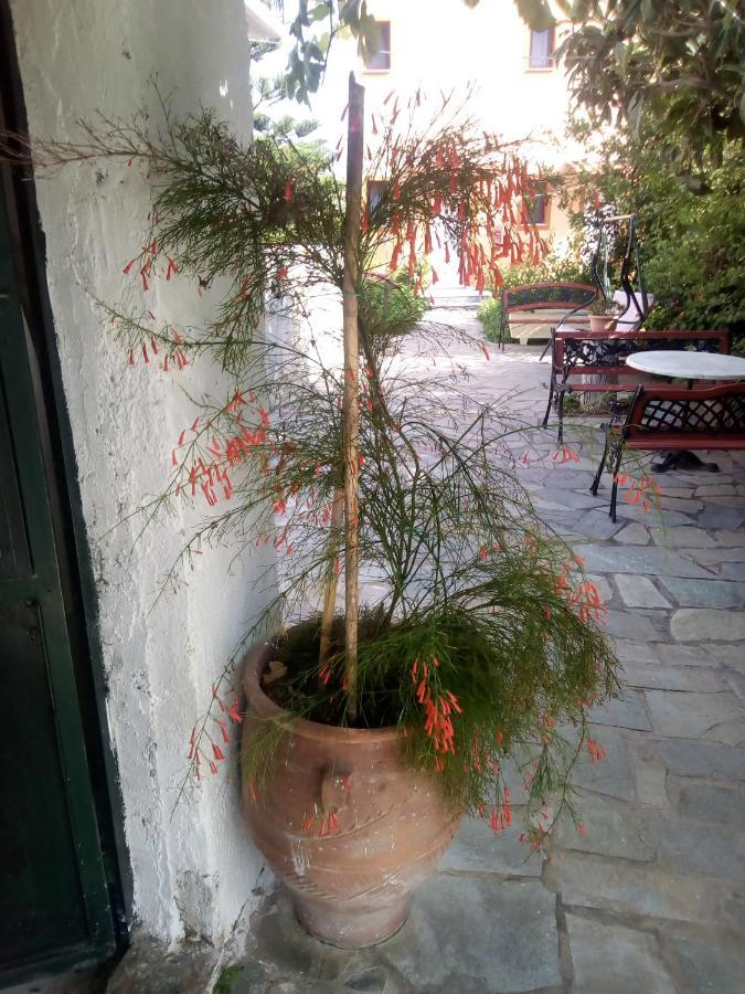 Ενοικιαζόμενα δωμάτια Μαγδαληνή Άναξος Εξωτερικό φωτογραφία
