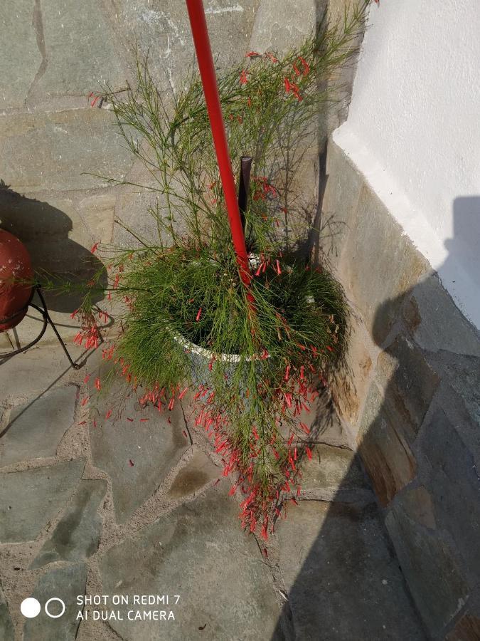 Ενοικιαζόμενα δωμάτια Μαγδαληνή Άναξος Εξωτερικό φωτογραφία